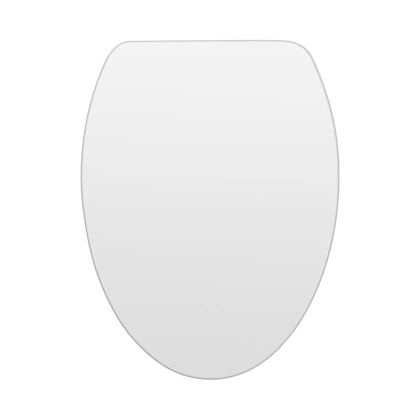 Mansfield SmartClose Elongated Soft Close Toilet Seat and Lid & Reviews